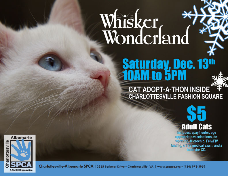 whisker_Wonderland2014