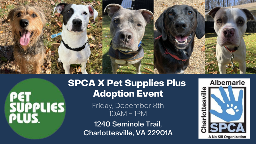 Pet Supplies Plus Adoption Event Charlottesville Albemarle SPCA